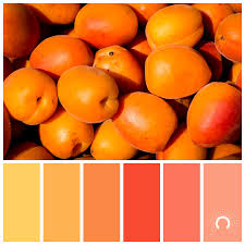 If you are looking for colour schemes with particular color codes, simply enter those. Peach Harvest Astelle S Colors