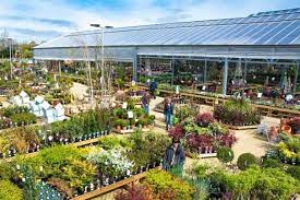 Looking for a garden centre or plant nursery in newquay ? Pin By Lopang Khutsoane On Landscaping Garden Design Farm Produce Family Garden Garden Design Plant Nursery