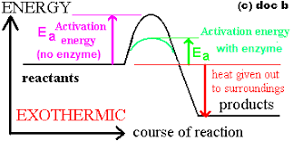 When manganese (iv) oxide is added to hydrogen. Effect Of A Catalyst On Speed Of Reaction Factors Affecting Rate Of Reaction Coursework Help Ideas Gcse Chemistry Revision Notes Ks4 Science Igcse O Level
