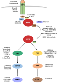 But this wasn't always the case. Frontiers Targeting Kras The Elephant In The Room Of Epithelial Cancers Oncology
