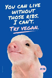 Peta Uk On Twitter Vegan Quotes Vegan Animals Animal Activism