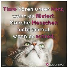 Spruche Fur Tierliebhaber Fur Schuhe Spruche Tierliebhaber Sayings Animal Lover Animal Quotes