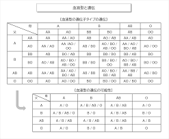 A 型 と b 型 の 子供
