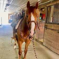 Jake Masterson (@crownmranch) • Instagram photos and videos