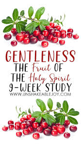 The Fruit Of The Holy Spirit Gentleness 9 Week Study Unshakeable Joy Study Holy Spirit Bible Study Tips