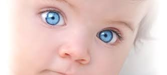The color song — this song is a great song to start out your preschool day! Choose Your Baby S Eye Color The Fertility Institutes Offers Eye Color Screening And Selection