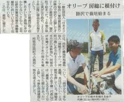 読売新聞に掲載されました 房総オリーヴ