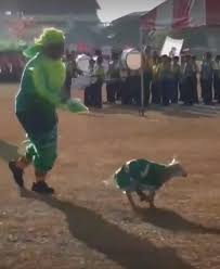 Firmamız kalite ve fonksiyonel tasarım odaklı tüm meyve sıkacağı preslerini üretmektedir. Kambing Ganti Maskot Lihat Video Rare Perbarisan Hari Sukan Sekolah Ni Siap Bawa Kambing Berkawad Lobak Merah
