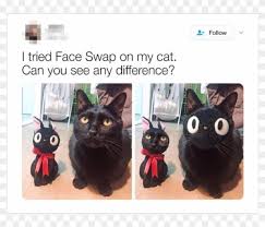 See more ideas about memes, humor, funny memes. Author Cleanmemesposted On April 8 2019 February 10 Funny Cute Animal Memes Hd Png Download 800x800 5262607 Pngfind