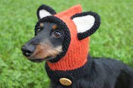 Knitting Pattern Dachshund Fox Hood Mini Doxie Hat Dog Etsy In 2021 Dachshund Hat Fox Hat Knitting Patterns