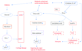 Chart Of The Metabolic Alterations In Osteoarthritis Oa