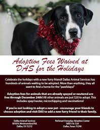 — be at least 18 years of age. Don T Forget Dallas Animal Services And Adoption Center Facebook