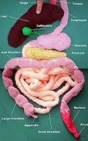 Maybe you would like to learn more about one of these? Knitted Anatomy Freshmd Knitted Halloween Crochet Knitting
