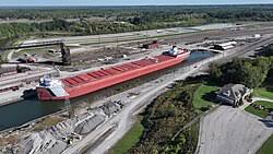 Image result for Rouge Furio 1987 Fleet