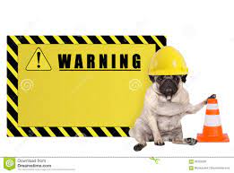 Pug Dog With Yellow Constructor Worker Safety Helmet And Blank Warning Sign Stock Image Image Of Pole Helmet 93333259 Pug Dog Pugs Safety Helmet