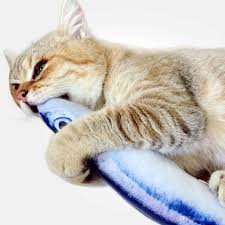 Cats Go Crazy Over This Stuffed Fish Toy Catnip Cat Toy Cat Toys Cats And Kittens