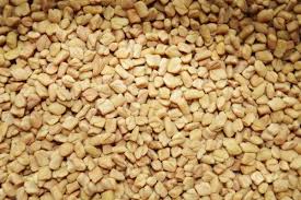 Fenugreek seed is widely used as a galactagogue (milk producing agent) by nursing mothers to. Global Fenugreek Seed Extract Market Size Share Trends Analysis 2028
