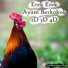 Dilansir grid.id dari tribunnews, ayam berkokok di malam hari karena di pengaruhi hormon yang bekerja dalam. Erek Erek Ayam Berkokok Lengkap Disertai Angka Mistik 2d 3d 4d Kitab Mimpi