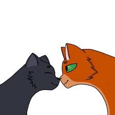 pin na doske koty voiteli