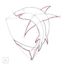 We did not find results for: How To Draw A Shark In 6 Steps Arteza