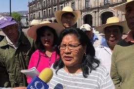 Queremos A San Francisco Tlalcilalcalpan Como Municipio 126