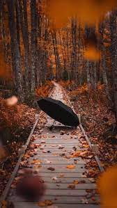 Trendy Wallpapers For Android Iphone Lock Screen Wallpaper Lock Screen Wallpaper Iphone Autumn Scenery Fall Pictures Nature Photography