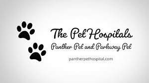Western hills pet hospital is a full service veterinary clinic conveniently located in the heart of omaha. The Pet Hospitals Petal Ms 39465 Hattiesburg Ms 39401