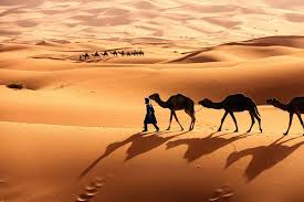Particularly in northern african countries, where there are a lot of tourists, like egypt, and also in some of the countries that are in or near the sahara desert. Learn About The Sahara Desert