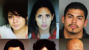 21 arrested in Greenfield gang bust