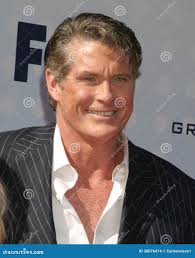 1,267 Haley Stock Photos