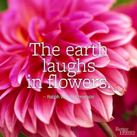 Better - Happy Earth Day! Find more flower quotes here: http://bhgmag.co/1rgjU4x | Facebook