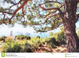 See more ideas about τουρκία, κωνσταντινούπολη, ταξίδια περιπέτειας. Xersonhsos Gelidonya Farwn Thn Anoi3h Omorfa Topia Ypai8ria Sthn Toyrkia Kai Thn Asia To Topio Sth Mesogeio Stok Eikones Eikona Apo 99889936