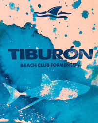 It is credited as one of the the hyundai tiburon slotted right in and replaced the scoupe. Tiburon Beach Club Formentera Home Facebook