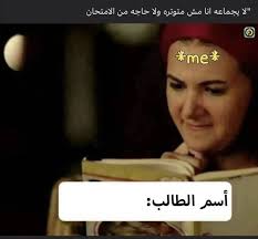 Wafa Mohamed (wafam8155)