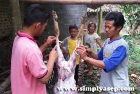 Pisau boning , 4 pisau stiking, 5. Asep Haryono Personal Blog From Indonesia Day 06 Belajar Memotong Kambing Aqiqah