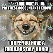 Happy Birthday To The Prettiest Accountant I Know I Hope You Have A Fabulous Day Hong Stoner Dog Quickmeme