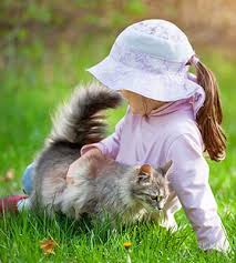 Randall orchard crossing animal hospital is proud to serve the pets and pet owners of the aurora, il community. Veterinarians In Aurora Il Vca Aurora Animal Hospital