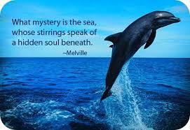 Dolphin Meaning And Dolphin Symbolism Dolphin Photos Dolphins Dolphin Quotes