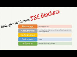 Image result for TNF Inhibitor