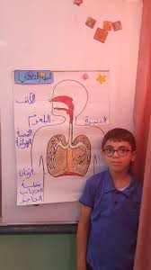 ×ª××× × ×§×©××¨×