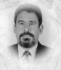 Árvore de gelo Parque Nacional de Jasper Canadá.