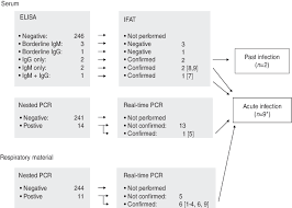 flow chart of the diagnostic procedures igm antibodies