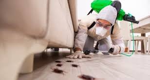 If you think you have a pest problem this winter or any other time of the year. Is Pest Control Necessary In The Winter Support For Stepdads