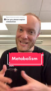 Understanding Estrogen and Metabolism in the Human Body