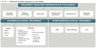 Image result for Refractory Depression Management