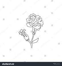 Single Continuous Line Drawing Of Beauty Fresh Dianthus For Garden Logo Printable Decorative Carnation Flower Co Continuous Line Drawing Drawings Line Drawing
