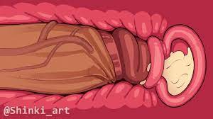 Rule 34