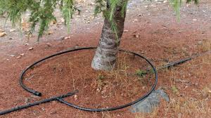 Quick release will help if the plants have gotten very dry, but overall, the effect is much reduced. Watering Trees And Shrubs Effectively Blog