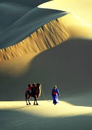 Jensawesomeworld Nature Pictures Deserts Of The World Nature