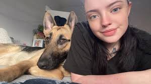 What are people saying about my dog's photo?